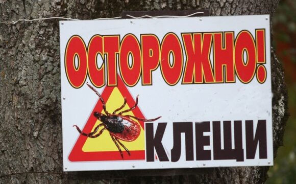 ОСТОРОЖНО! КЛЕЩИ