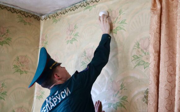 В Гомеле проходит специальное профилактическое мероприятие «Дом без пожара»