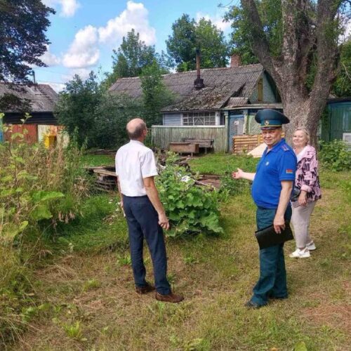 В Гомеле завершилось специальное профилактическое мероприятие «Зеленый щит»