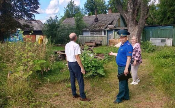 11 В Гомеле завершилось специальное профилактическое мероприятие «Зеленый щит»